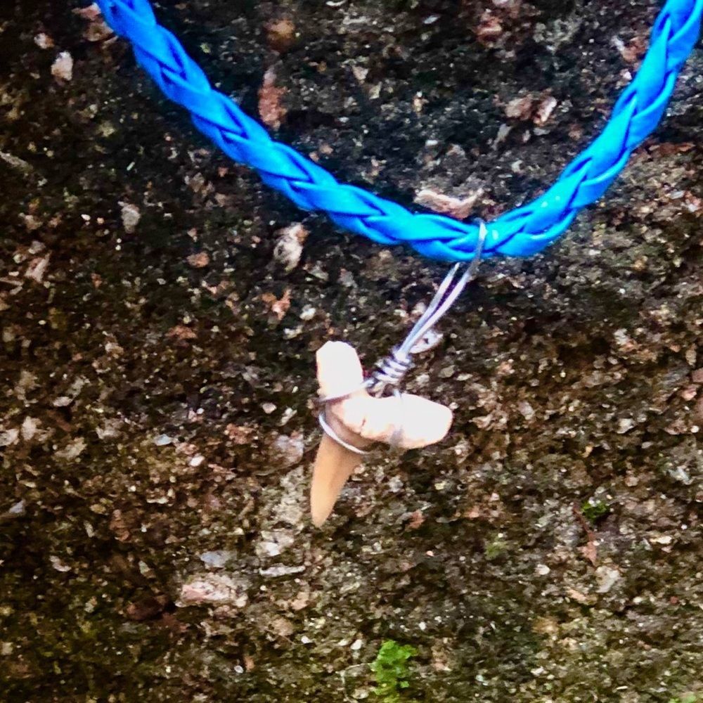 Real Shark Tooth Arm Bracelet Anklet Ankle Jewelry